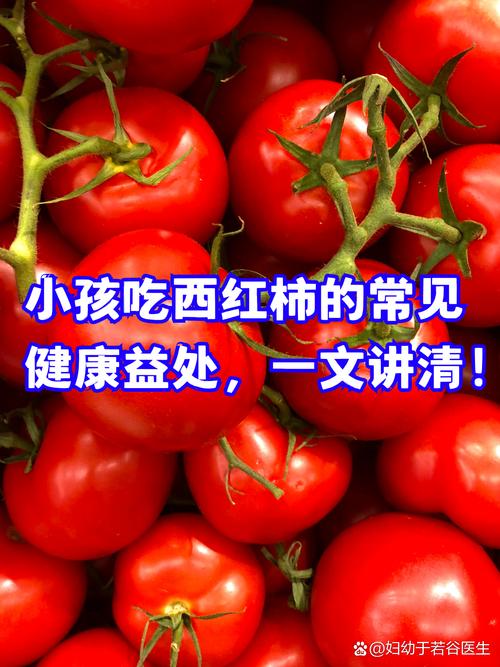 五个月宝宝能吃番茄吗？-图2