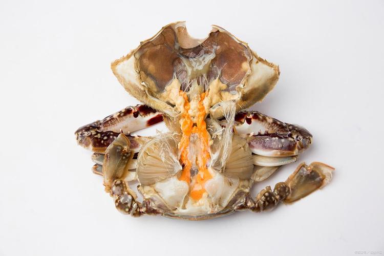 莆田年糕海鲜怎么做？-图2