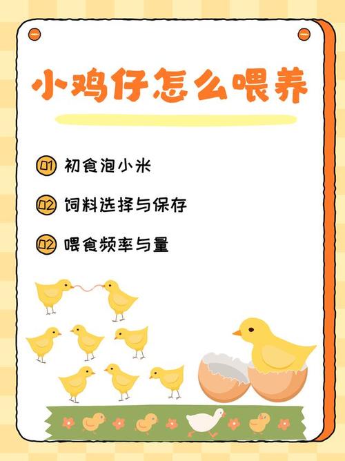 一岁宝宝鸡肉怎么做？辅食搭配有讲究吗？-图3