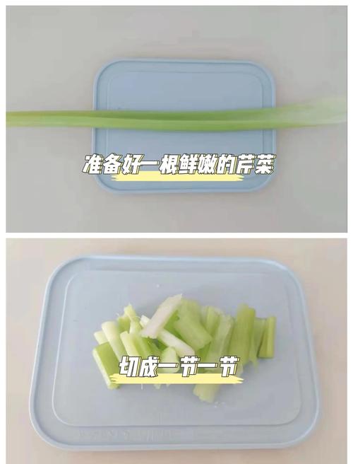 宝宝辅食芹菜泥怎么做?-图3 宝宝辅食芹菜泥怎么做?-图3