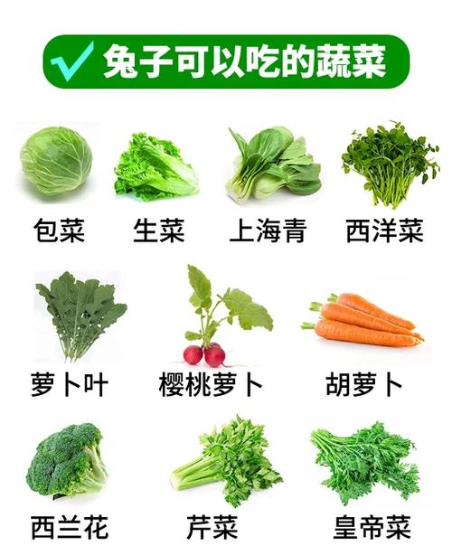 一岁宝宝可以吃青菜吗-图2