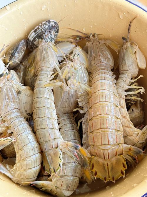 这个季节出产什么海鲜-图2