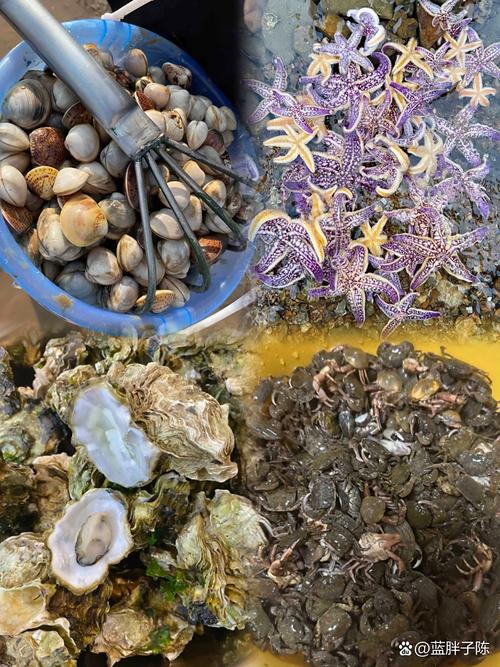 这个季节出产什么海鲜-图3