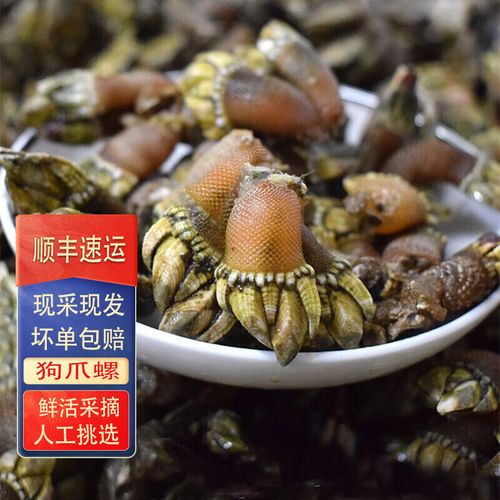 海鲜佛手有哪些美味做法?-图3 海鲜佛手有哪些美味做法?-图3