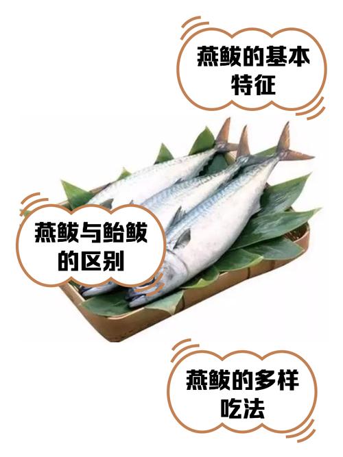 一岁宝宝能吃鲅鱼吗？需注意什么？-图3