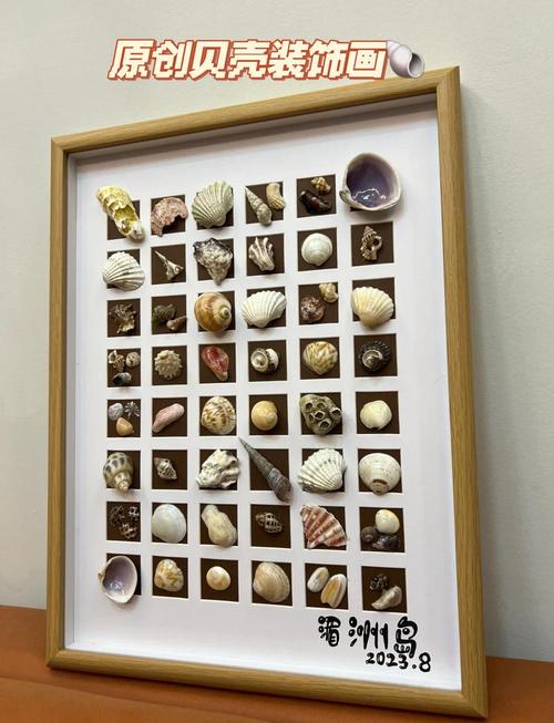 贝壳海鲜做法有哪些?-图2 贝壳海鲜做法有哪些?-图2