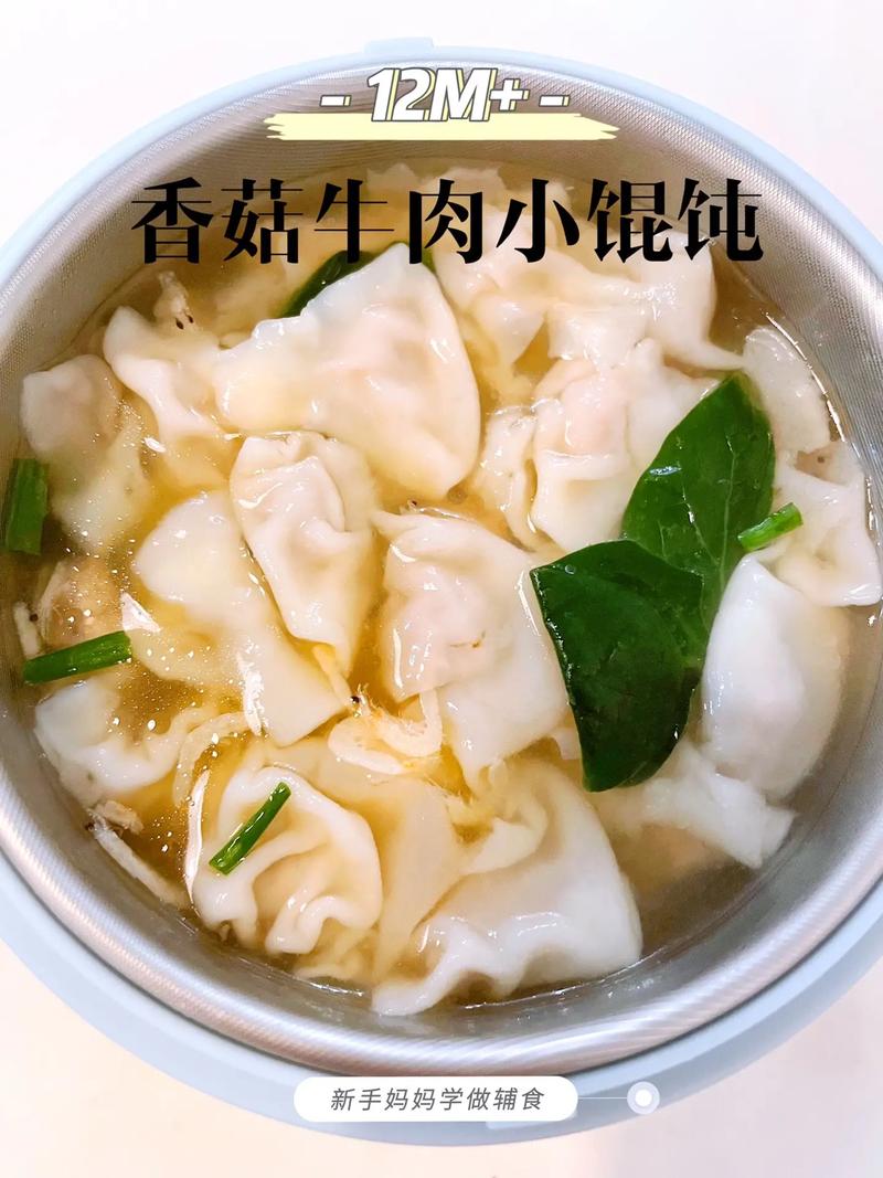 9个月宝宝小馄饨怎么做?-图3 9个月宝宝小馄饨怎么做?-图3