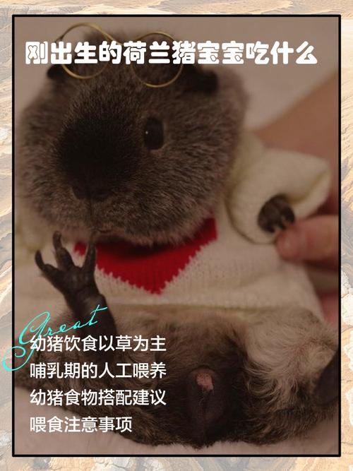 新生儿第一口吃什么最合适？-图2