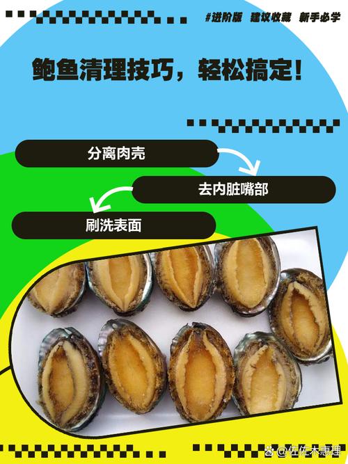 鲍鱼买回家，怎么处理才干净？-图1