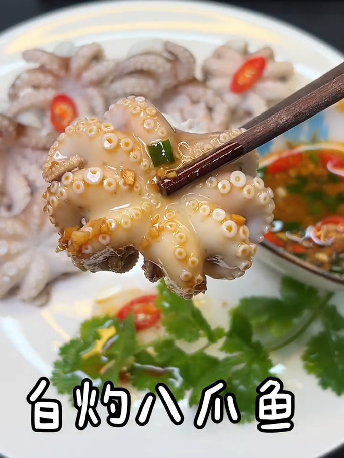小八爪鱼怎么做家常美味?-图3 小八爪鱼怎么做家常美味?-图3