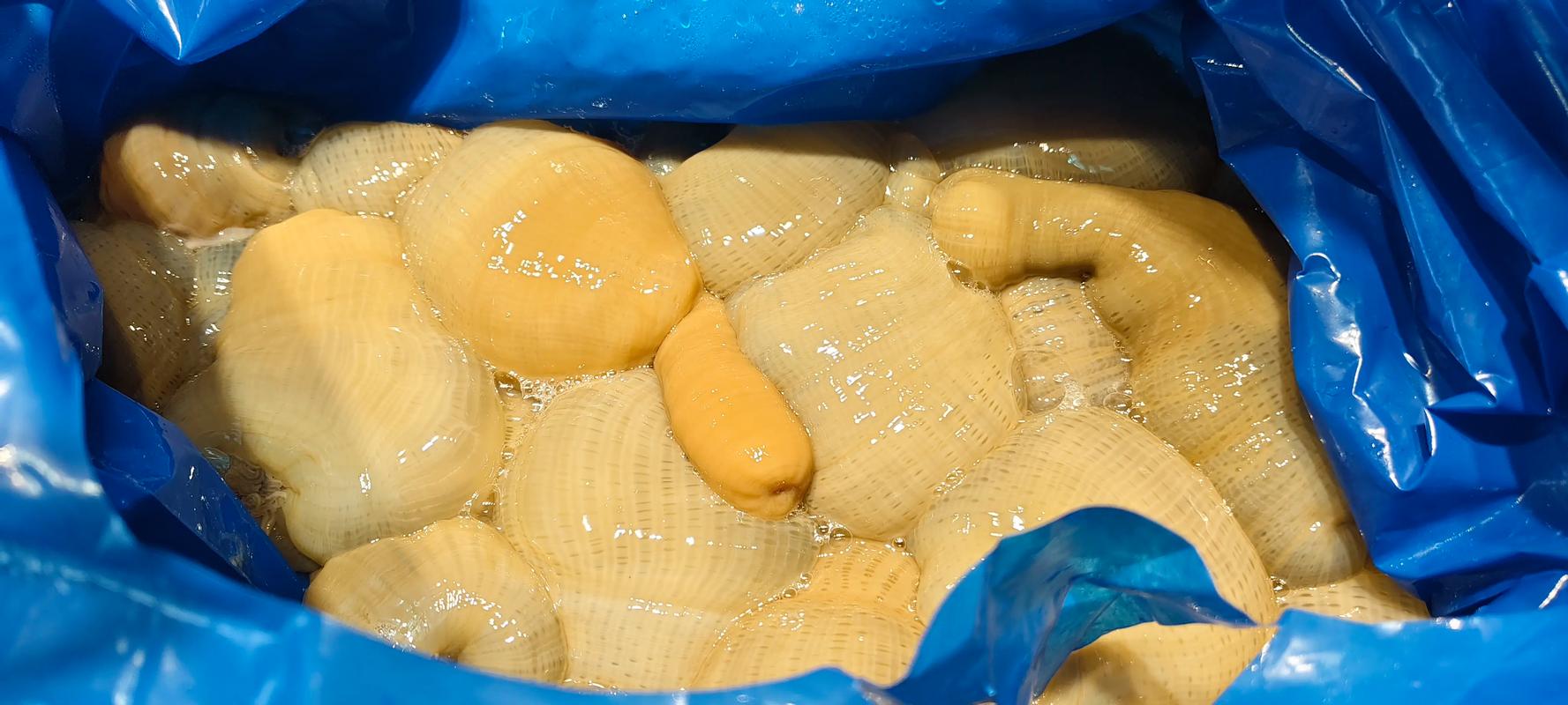 台州海鲜年糕怎么做？家常做法有哪些？-图2