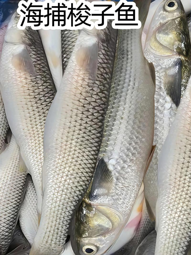 梭子鱼的做法大全家常-图1