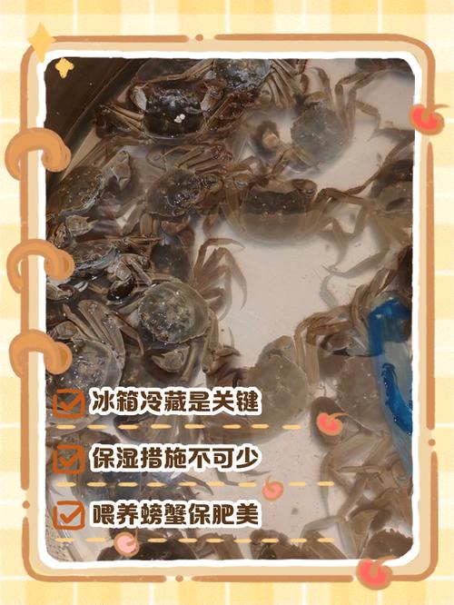 新鲜海鲜怎么保存才新鲜？-图1