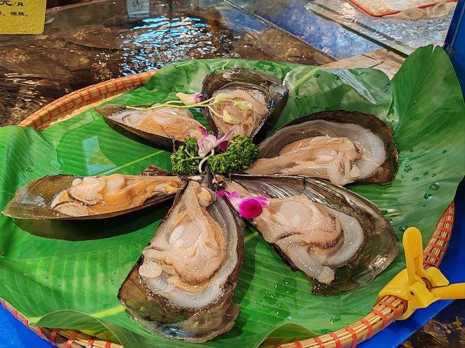 海鲜带子图片大全图解，带子怎么挑、做才好吃？-图1