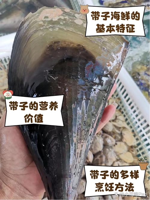 海鲜带子图片大全图解，带子怎么挑、做才好吃？-图2