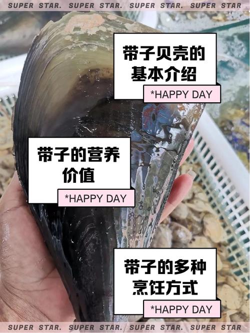 海鲜带子图片大全图解，带子怎么挑、做才好吃？-图3
