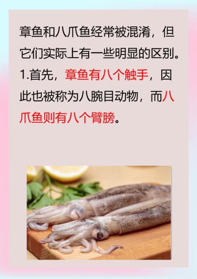 海鲜章鱼怎么处理才干净？-图2