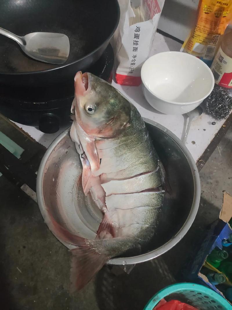 鲢子鱼家常做法怎么做好吃?-图3 鲢子鱼家常做法怎么做好吃?-图3