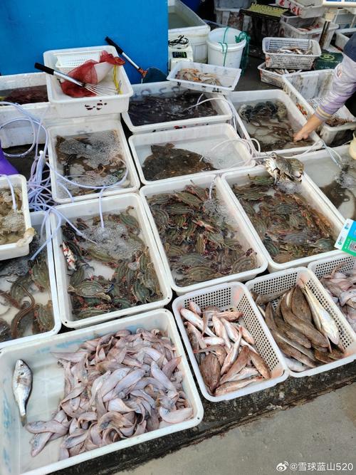 霞浦海鲜干货市场具体位置在哪？-图3