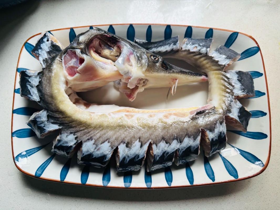 冻鲟鱼家常做法有哪些？-图1