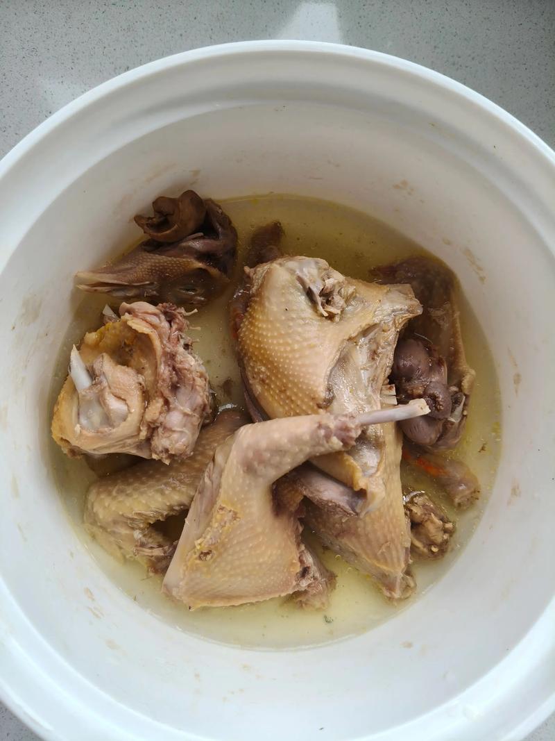 宝宝鸽子汤怎么煮更营养？-图1