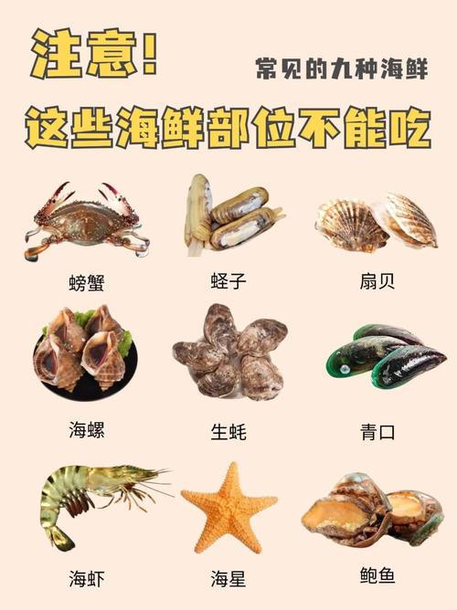 夏季都有哪些时令海鲜-图1