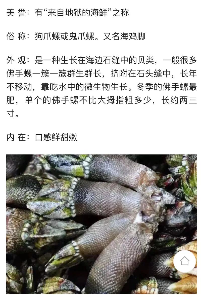 佛手海鲜怎么做？有哪些特色做法？-图1