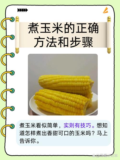 煮玉米怎么做好吃？家常做法有哪些？-图1