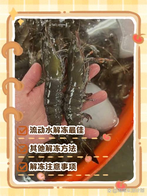 冷冻海鲜怎么解冻才不鲜味流失?-图2 冷冻海鲜怎么解冻才不鲜味流失?-图2