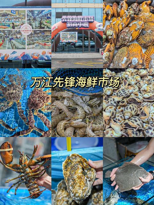 广东海鲜哪里买最便宜?-图2 广东海鲜哪里买最便宜?-图2