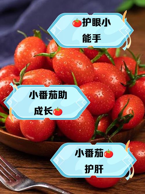 宝宝小番茄怎么吃才安全又营养?-图2 宝宝小番茄怎么吃才安全又营养?-图2