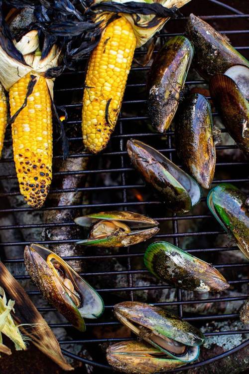 黑色贝壳海鲜有哪些品种？-图2