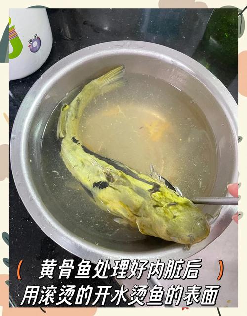 宝宝辅食选什么鱼最合适？-图1