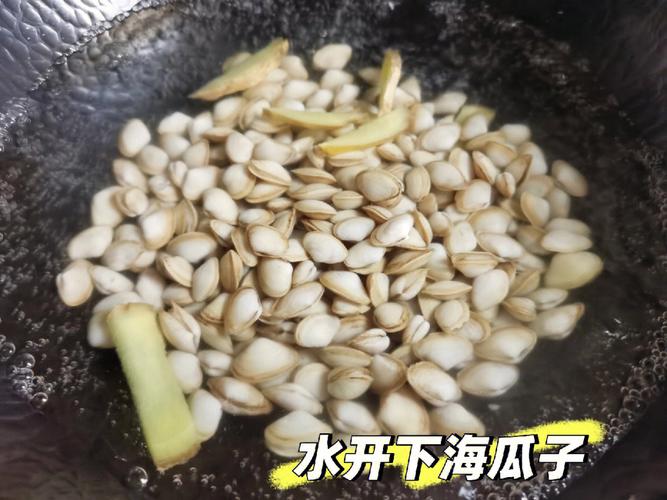 海鲜瓜子怎么处理?-图1 海鲜瓜子怎么处理?-图1