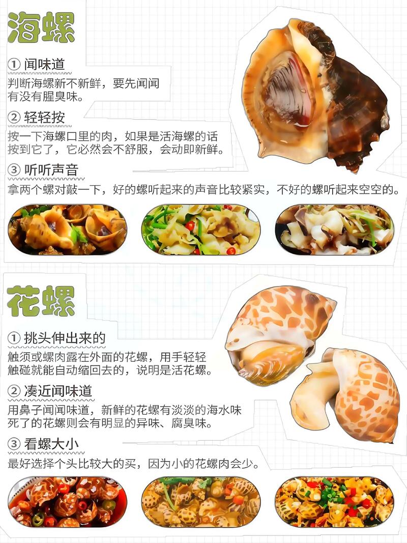 儿童海鲜菜谱有哪些推荐?-图2 儿童海鲜菜谱有哪些推荐?-图2