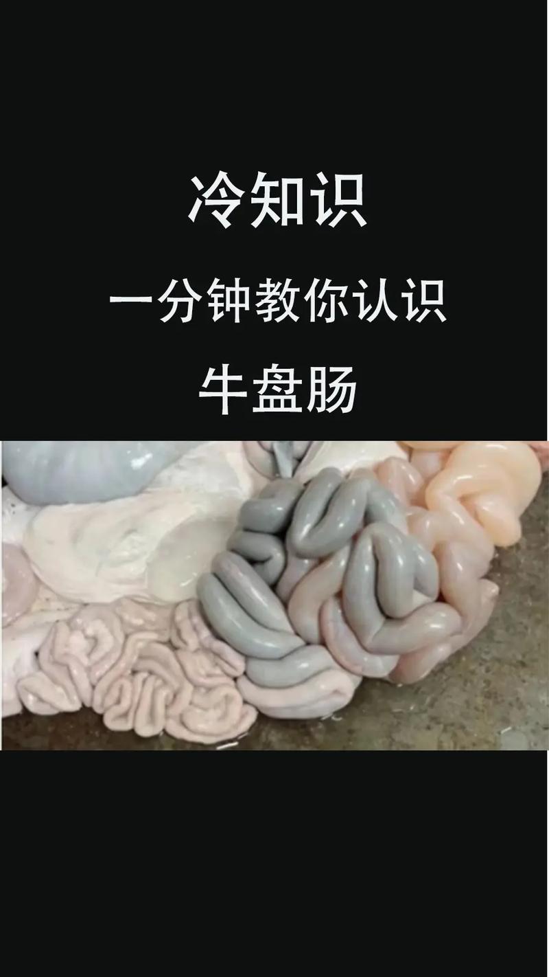 牛肠家常的做法和菜名-图1