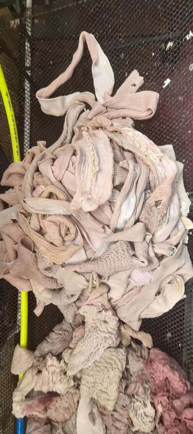 牛肠家常的做法和菜名-图3