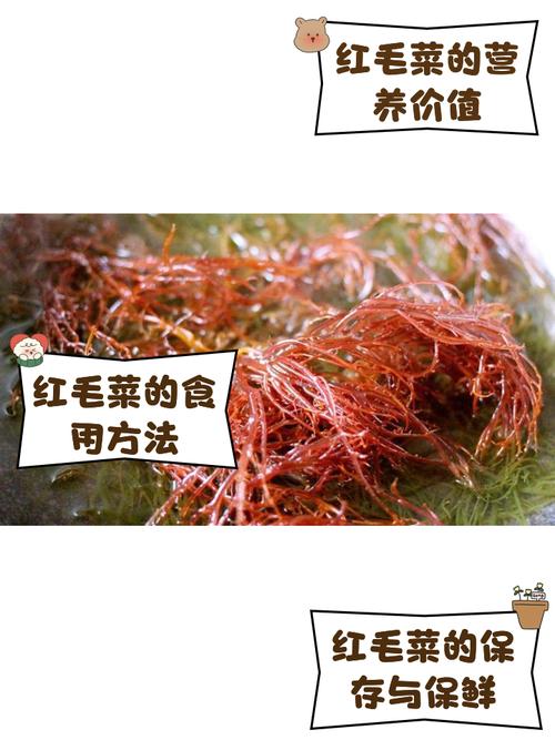 红菜怎么做？家常做法有哪些？-图3