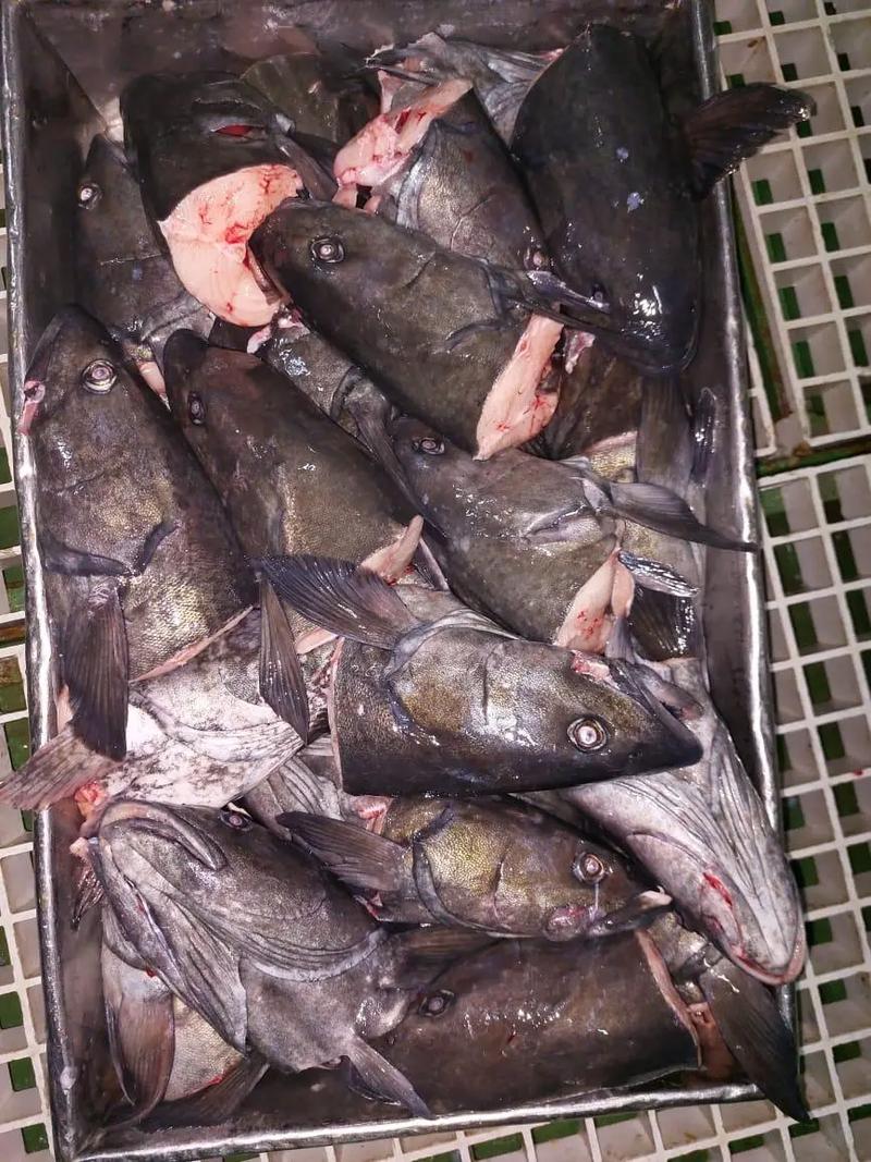 鳕鱼头怎么做好吃？家常做法有哪些？-图1