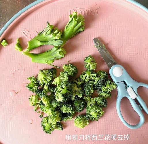 宝宝西兰花怎么做？辅食做法有哪些？-图2