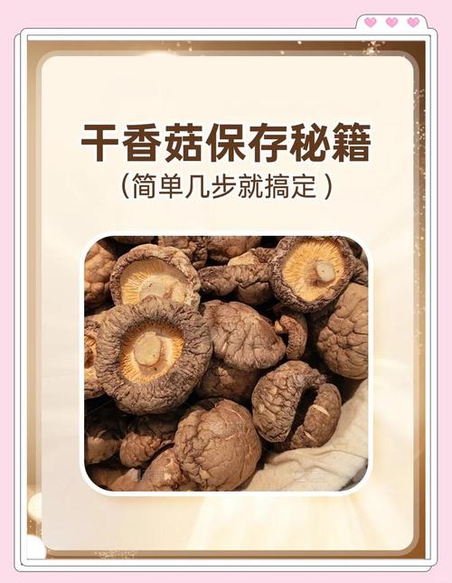 干香菇怎么给宝宝吃才合适？-图1