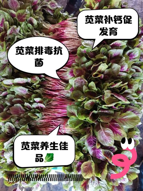 海鲜能和苋菜一起吃吗-图2