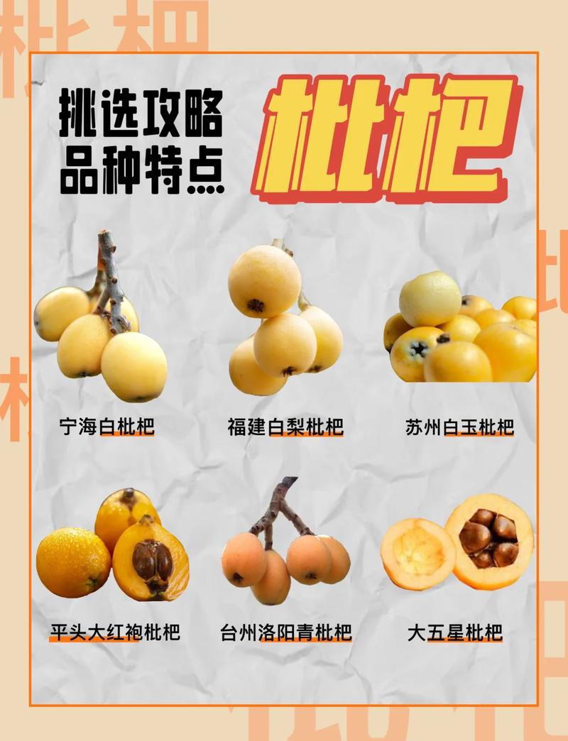 枇杷海鲜同食会中毒吗？-图2