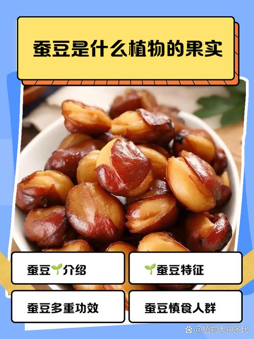 蚕豆和海鲜能同食吗？-图3