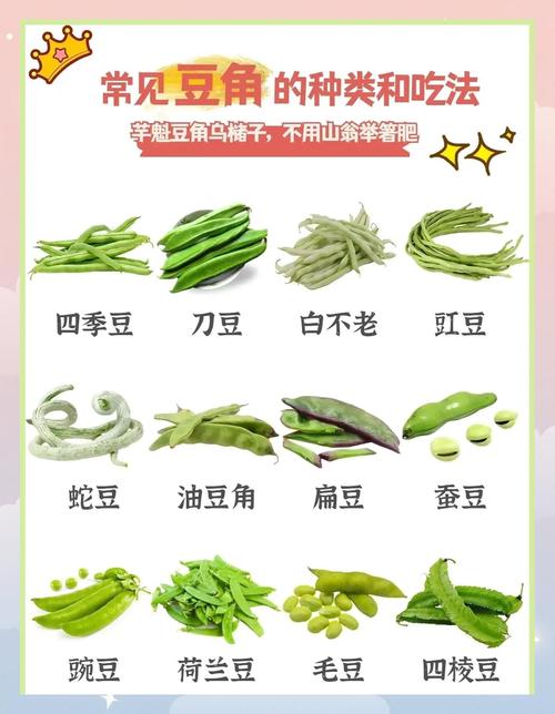 豆角和海鲜同食会中毒吗？-图3