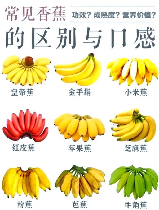 海鲜香蕉同食会中毒吗？-图2