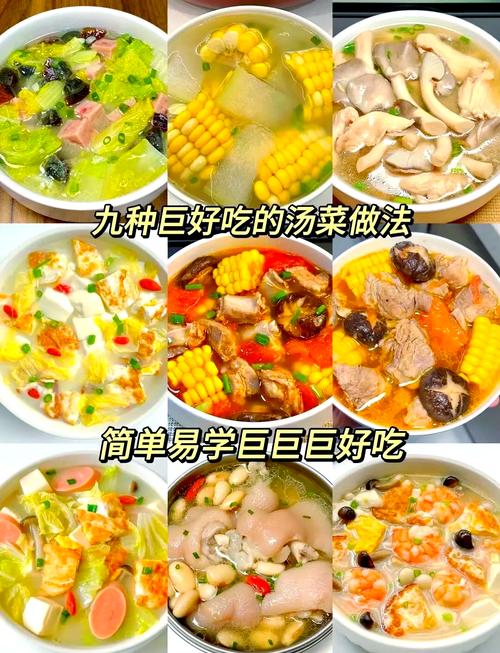 家常汤菜做法大全有哪些必备技巧？-图2