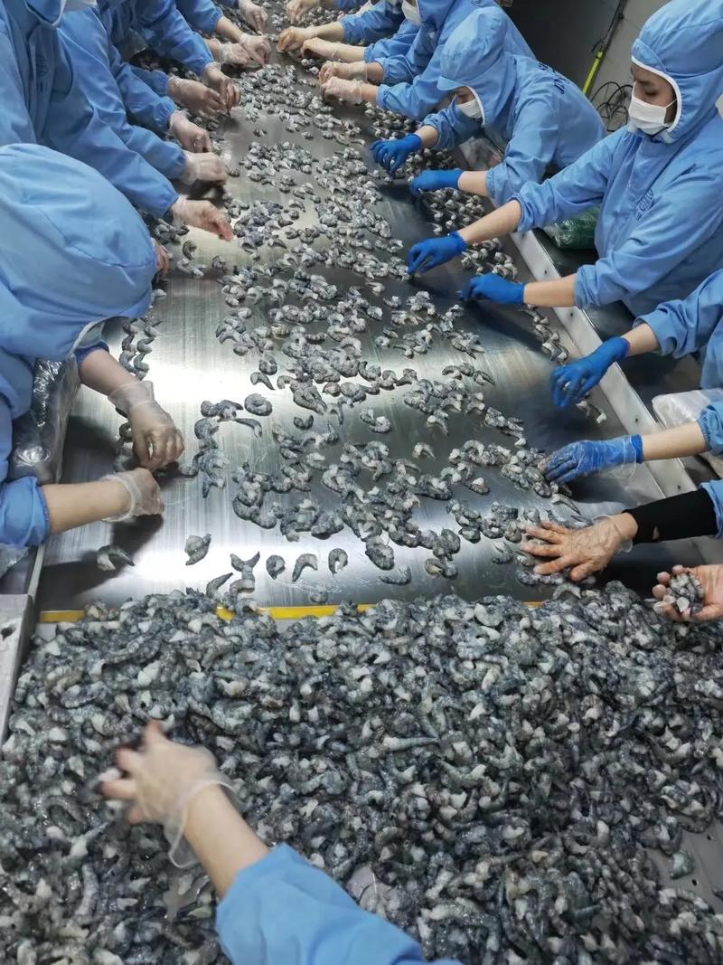 海鲜厂活儿好干吗？累人吗？-图2