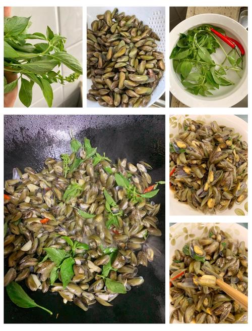 海瓜子一斤多少钱？-图2