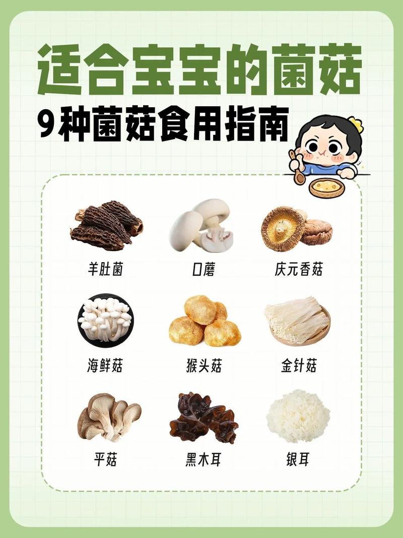 宝宝辅食白蘑菇怎么做好吃又营养？-图3